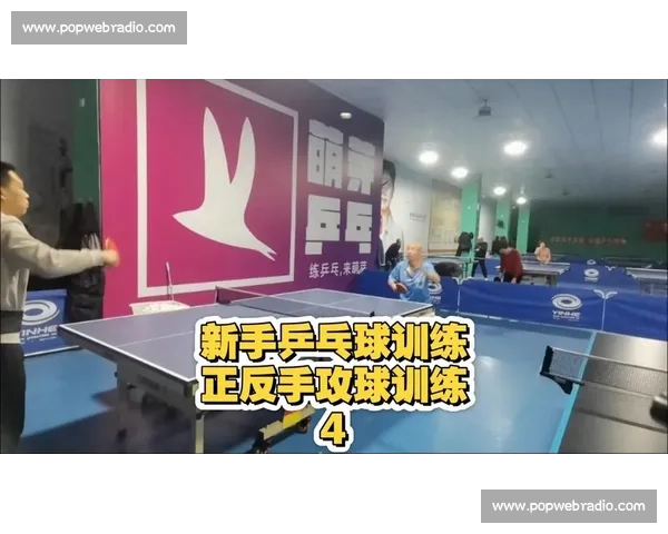 以系统化乒乓球训练为核心全面提升竞技水平与身体素质研究 以系统化乒乓球训练为核心全面提升竞技水平与身体素质研究